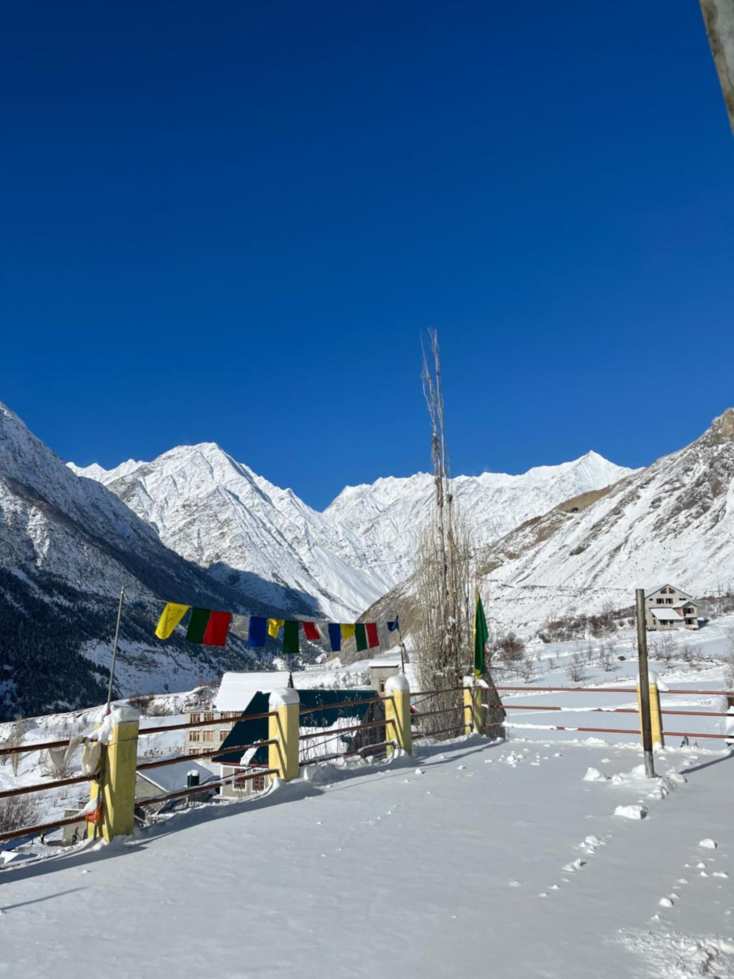 Snowflake Homestay Gondhla Exterior photo